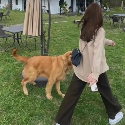 我家有个大尸兄