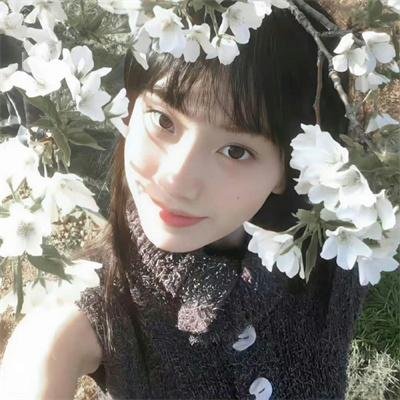 噬血芭蕾